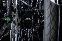 Bulls Lacuba-Evo Lite 5-Gang 2019 -E-Bike Store Inter5