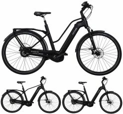 Kettler Quadriga Pro Belt Enviolo 2019