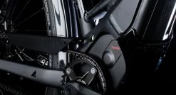 Bulls Lacuba-Evo Lite 5-Gang 2019 -E-Bike Store Motor