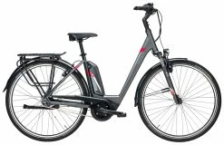 Pegasus Premio-E8F Comfort 8-Gang 2019 -E-Bike Store Pegasus Premio E8F Comfort 2019 Damen Wave grau rot silber 794 795 15445 15450 15455