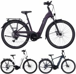 Pegasus Premio-Evo-11 "40 Years" 750 2022