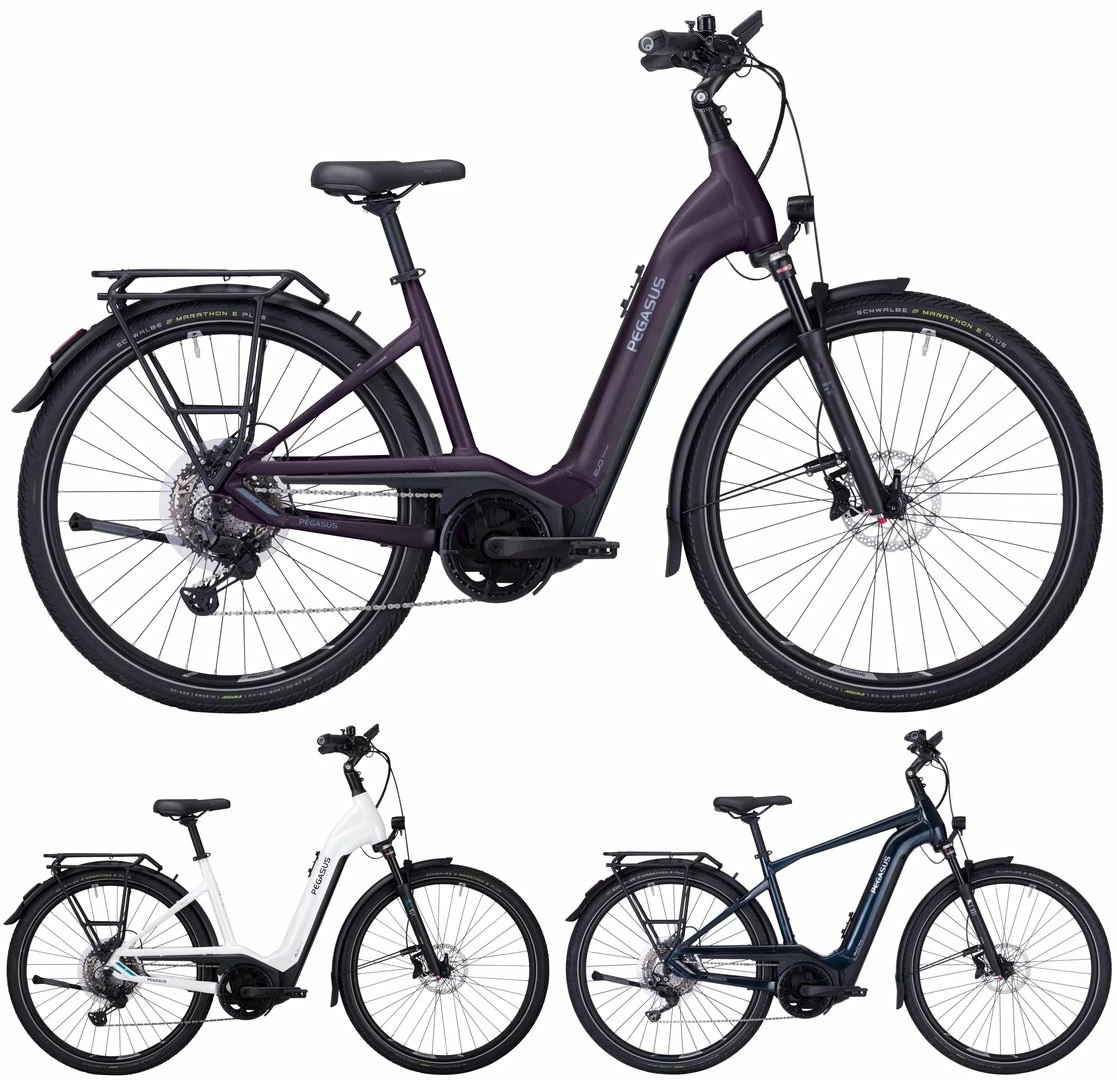 Pegasus Premio-Evo-11 "40 Years" 750 2022 1 Pegasus Premio-Evo-11 "40 Years" 750 2022