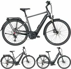 Pegasus Premio-Evo-12 Lite 2020