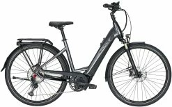 Pegasus Premio-Evo-12 Lite 2020 -E-Bike Store Pegasus Premio Evo 12 Lite Damen Wave black chrome black matt 714 715 716 59245 59250 59255