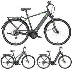 Pegasus Solero-Evo 8 2018