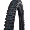 Schwalbe Hans Dampf Evo HS 491 Supertrail Addix Speedgrip